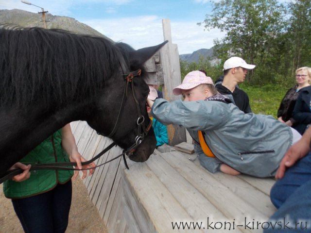 Благотворительные экскурсии в конный клуб "Ласточка".